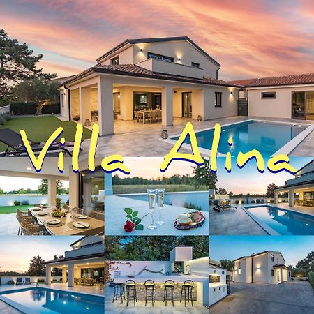 Special Offer! New Luxury Apartment With Pool, Fitness, Outdoor Bar&Grill Buje Kültér fotó